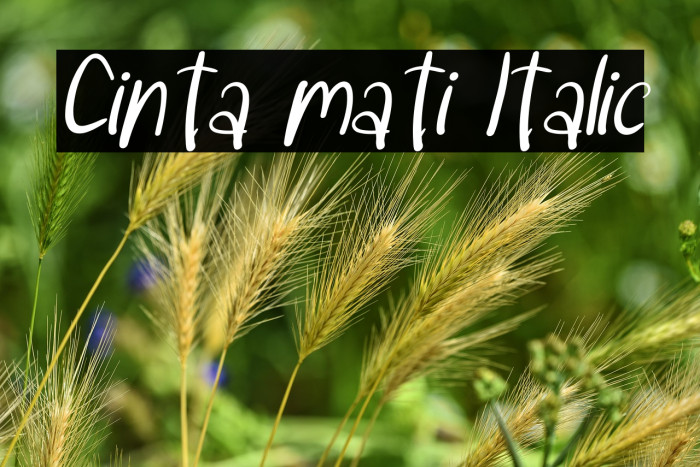 Cinta mati Italic Example 2