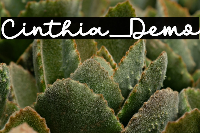 Cinthia_Demo Example 1