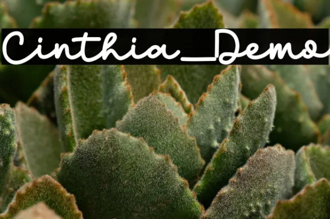 Cinthia_Demo Example 1