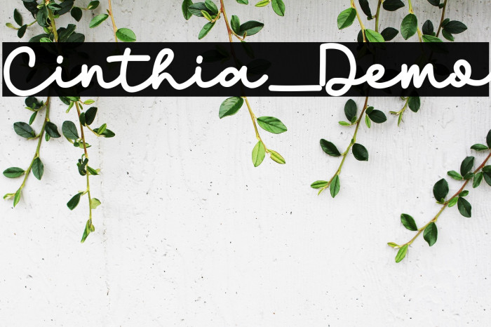 Cinthia_Demo Example 3