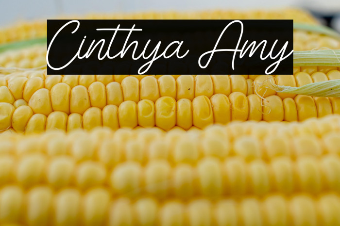 Cinthya Amy Example 1