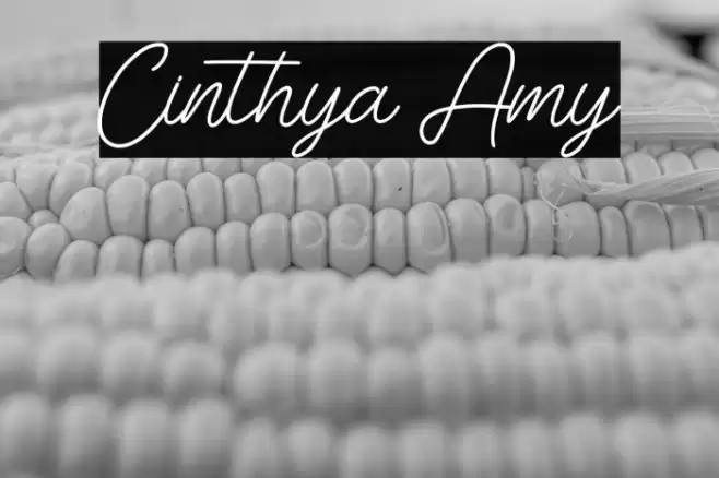 Cinthya Amy Font examples