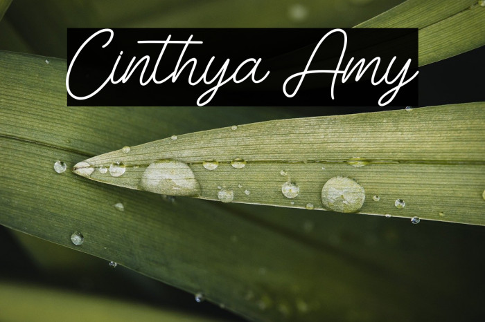 Cinthya Amy Example 2