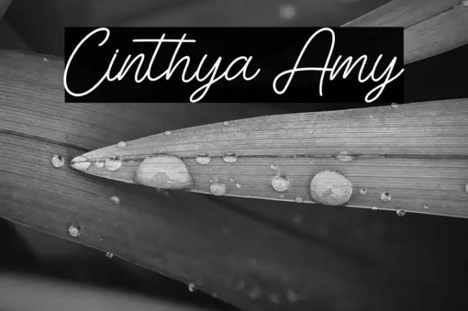 Cinthya Amy Font examples