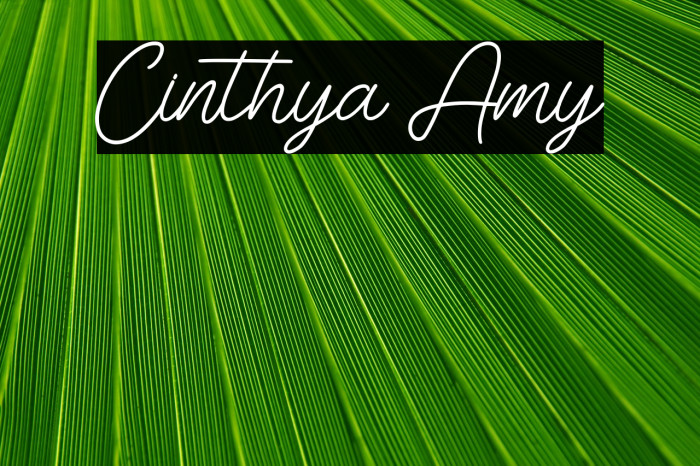 Cinthya Amy Example 3
