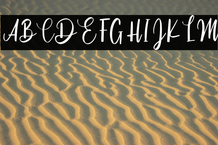 Cinthya Einzberg Example 1