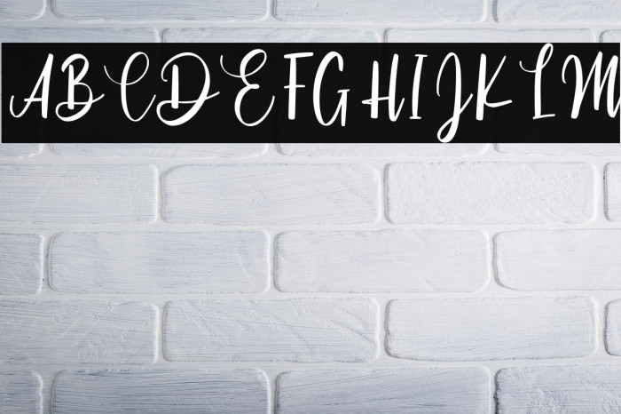 Cinthya Einzberg Example 2