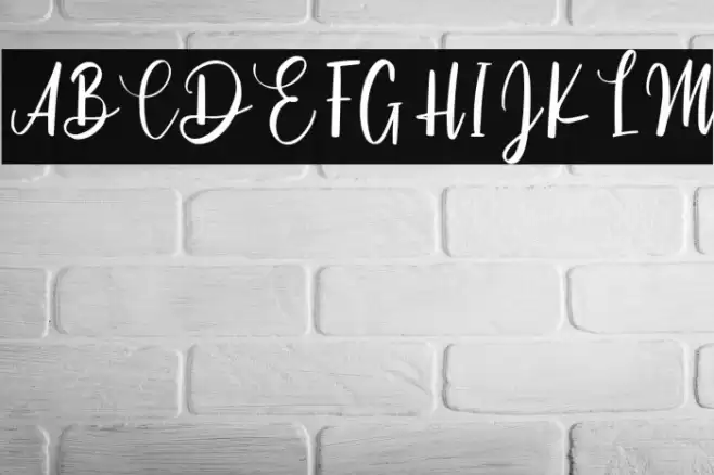 Cinthya Einzberg Font examples