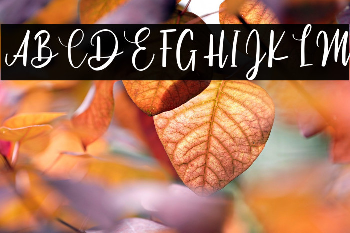 Cinthya Einzberg Example 3