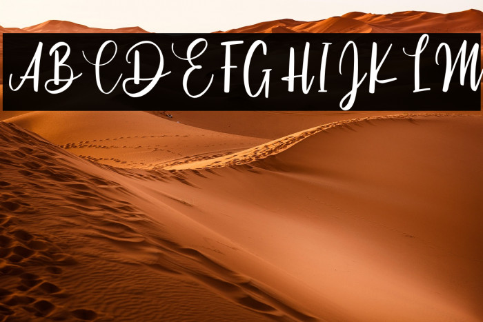 Cinthya Einzberg Example 2