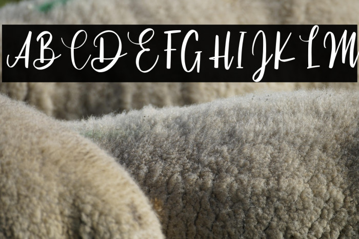 Cinthya Einzberg Example 3