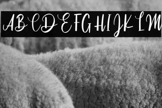 Cinthya Einzberg Font examples