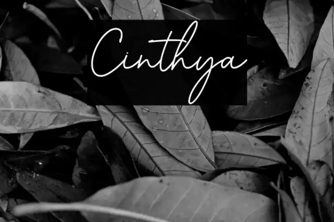 Cinthya Font examples