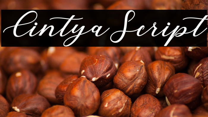 CintyaScript Example 1