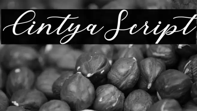 CintyaScript Font examples