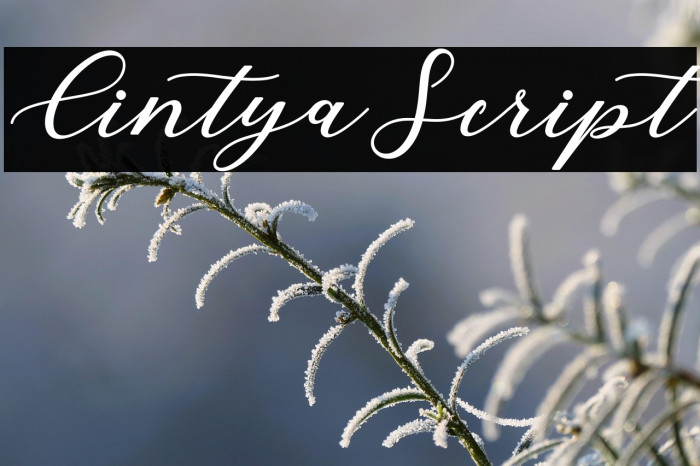 CintyaScript Example 2