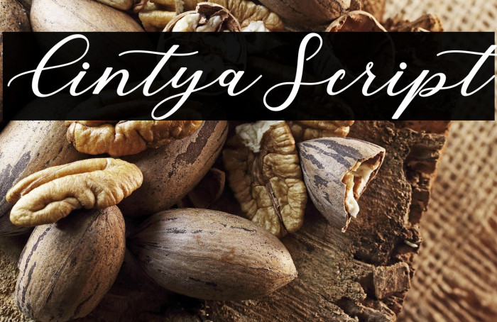 CintyaScript Example 3