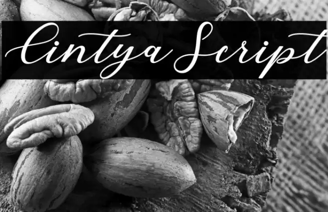 CintyaScript Font examples