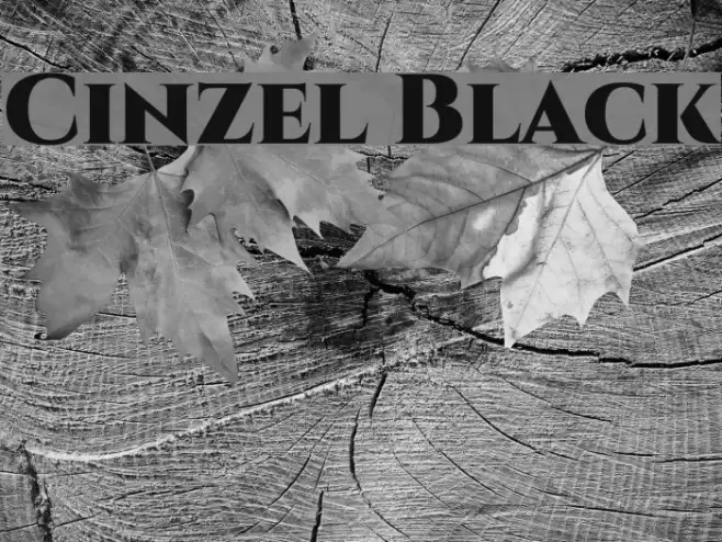 Cinzel Black Font examples