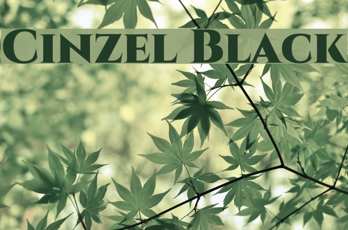 Cinzel Black Example 3