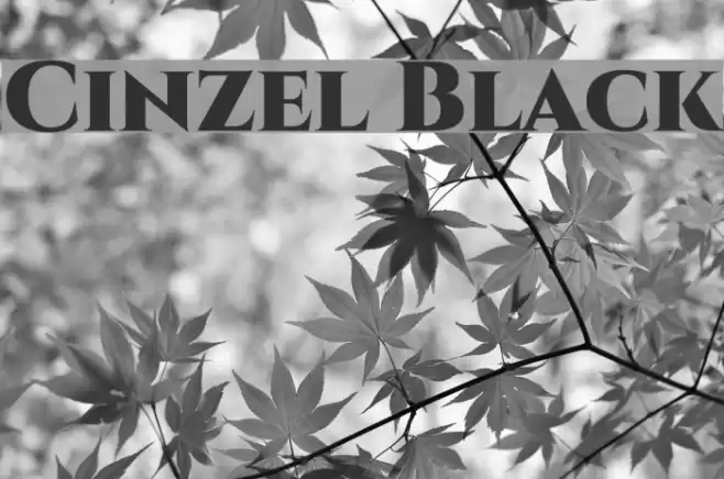 Cinzel Black Font examples