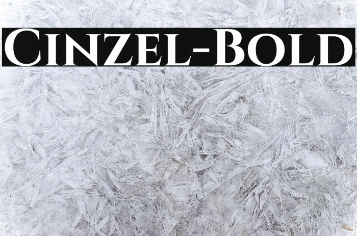 Cinzel-Bold Example 1