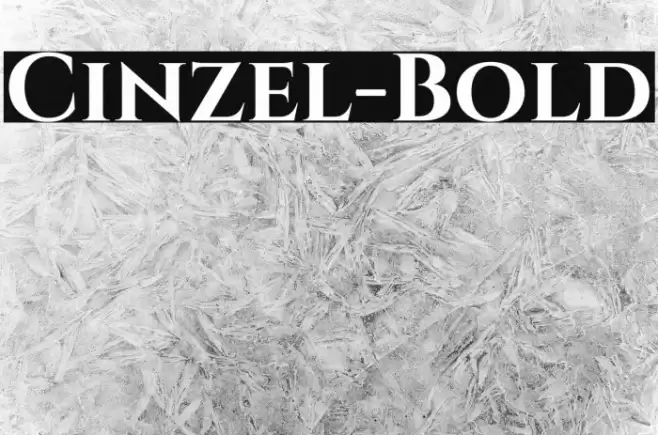 Cinzel-Bold Font examples