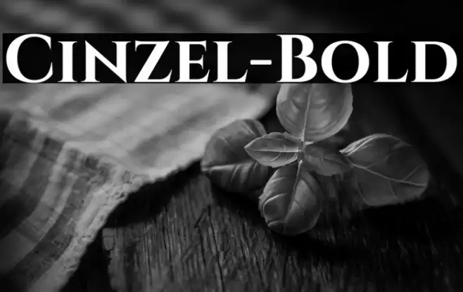 Cinzel-Bold Font examples