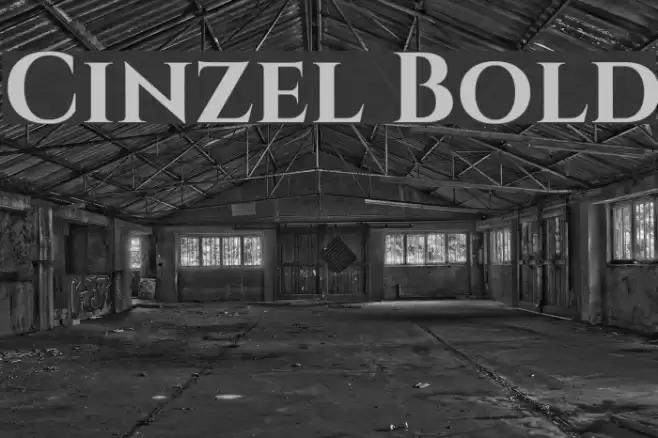 Cinzel Bold Font examples