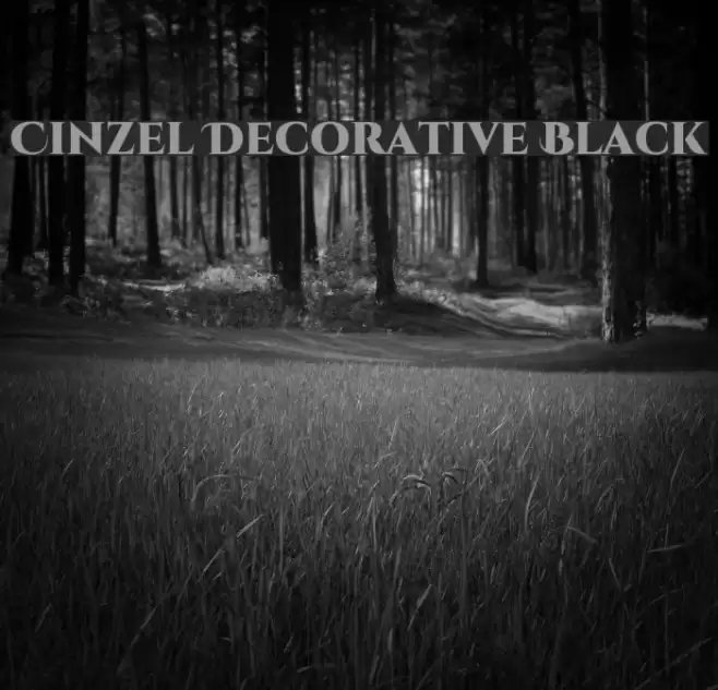 Cinzel Decorative Black Font examples
