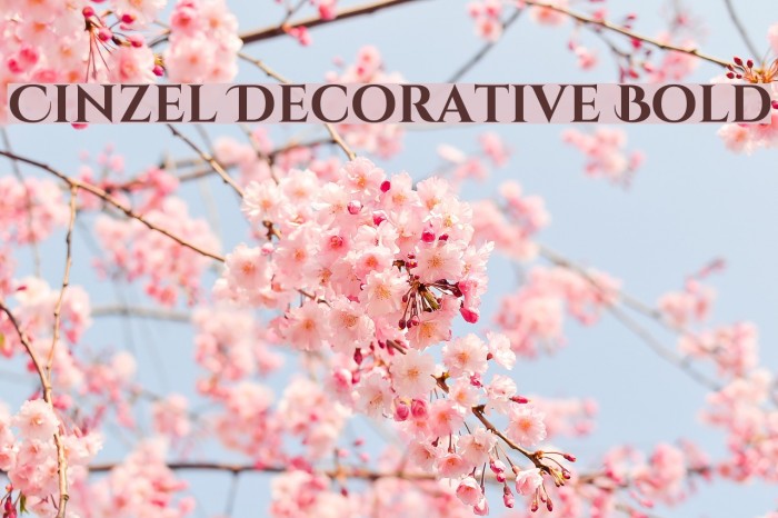 Cinzel Decorative Bold Font examples