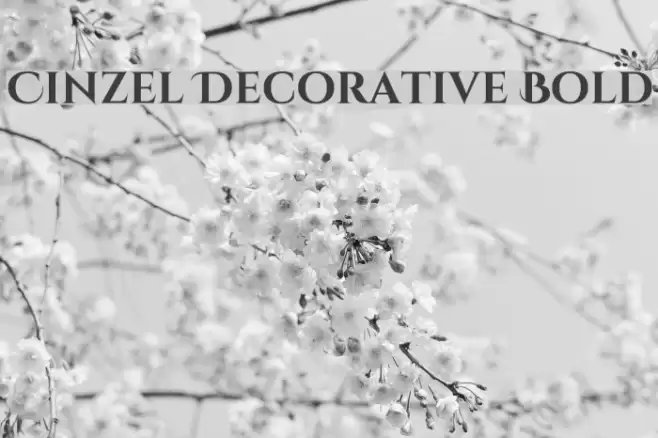 Cinzel Decorative Bold Font examples