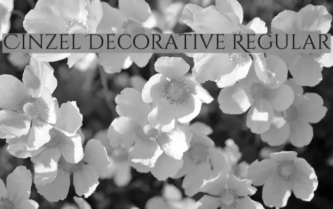 Cinzel Decorative Regular Font examples