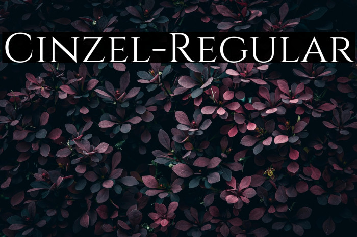 Cinzel-Regular Example 1