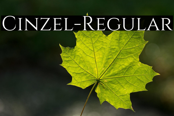 Cinzel-Regular Example 3