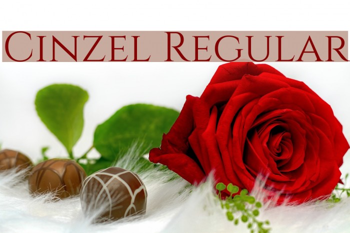 Cinzel Regular Font examples