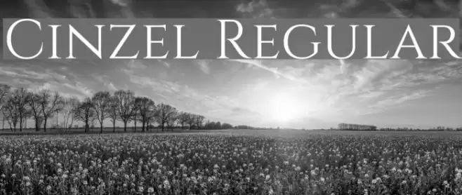 Cinzel Regular Font examples