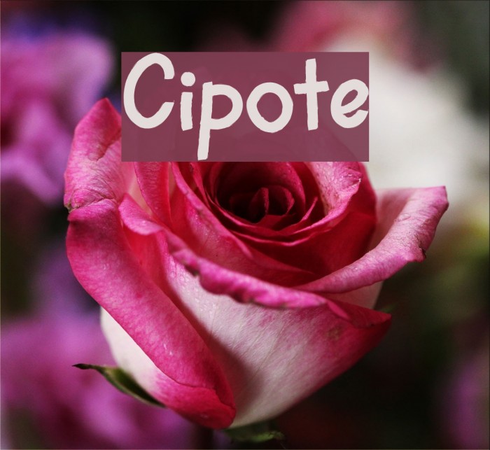 Cipote Fonte examples