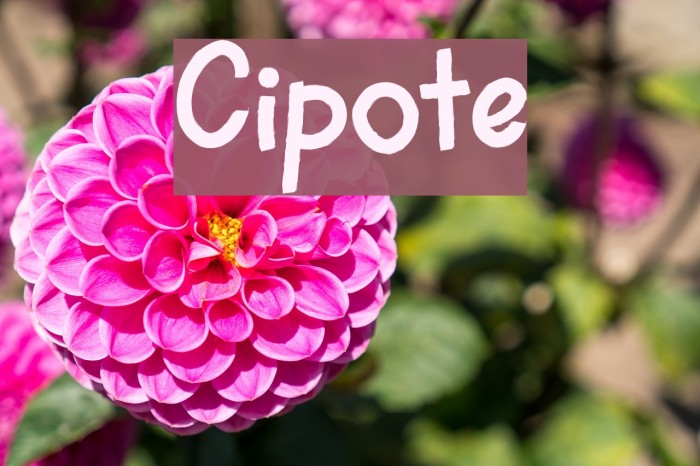 Cipote Fonte examples