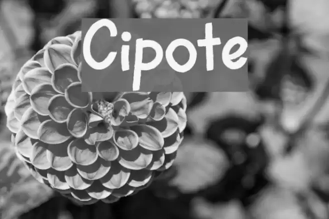 Cipote Font examples