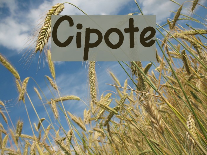 Cipote Fonte examples