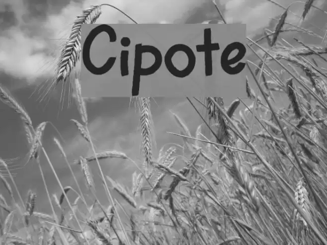 Cipote Font examples