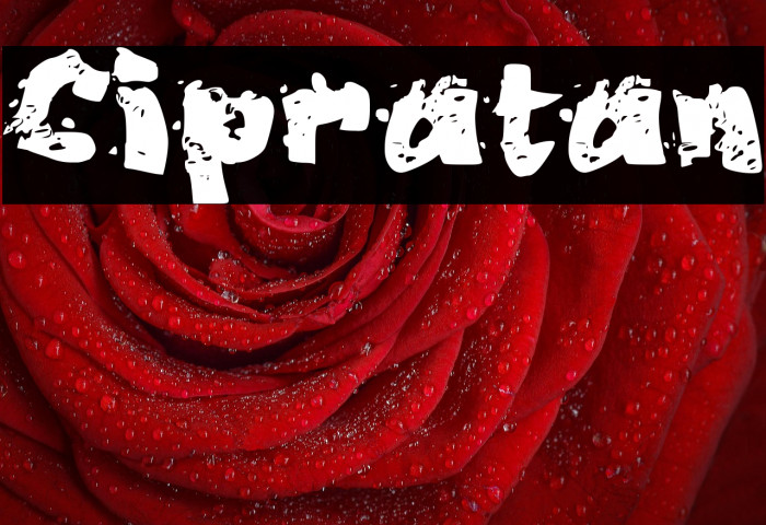 Cipratan Example 1