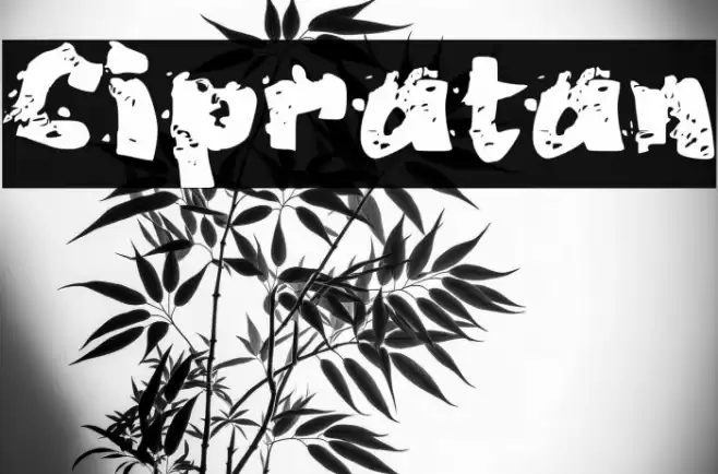 Cipratan Font examples