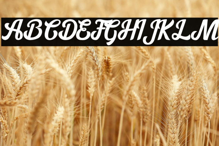 Cipthayasa Example 2