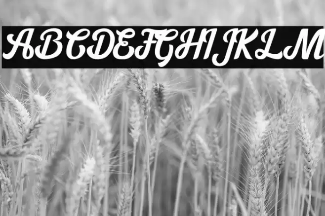 Cipthayasa Font examples