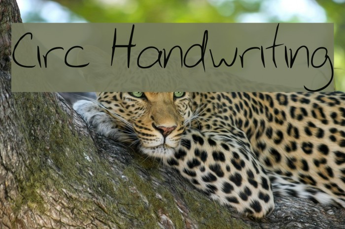 Circ Handwriting Font examples