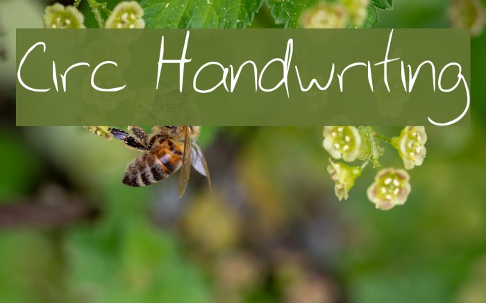 Circ Handwriting Font examples