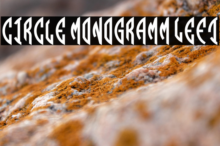 Circle Monogramm Left Example 1