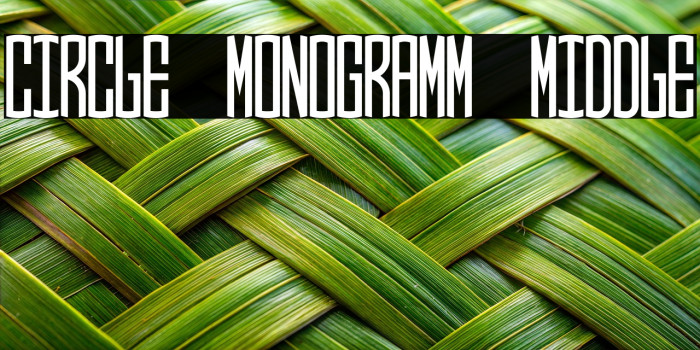 Circle Monogramm Middle Example 3